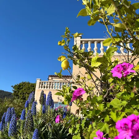 Stunning With Pool, Sea View & Petanque In Golfe Saint Tropez 빌라 Le Rayol-Canadel-sur-Mer