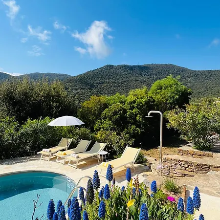 Stunning With Pool, Sea View & Petanque In Golfe Saint Tropez