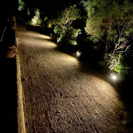 Stunning With Pool, Sea View & Petanque In Golfe Saint Tropez